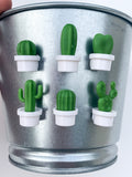 Cactus Mini Magnet - Set of 6