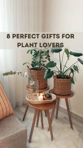 PLANT LOVER GIFT IDEAS