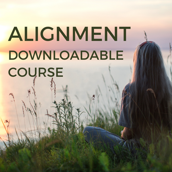 Alignment Course