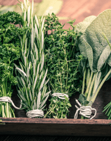 Indoor Herb Garden Tips