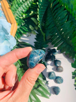 Blue Apatite Tumbled Stone - 1 Stone