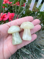 Afghanistan Stone Mushroom