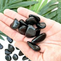 Black Obsidian Tumbled Stone - 1 stone