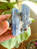 Large Blue Kyanite