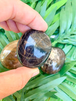 Black Moonstone Palm Stone - 1 Stone