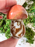 Polychrome Mushrooms - 1 Item