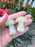Afghanistan Stone Mushroom