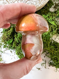 Polychrome Mushrooms - 1 Item