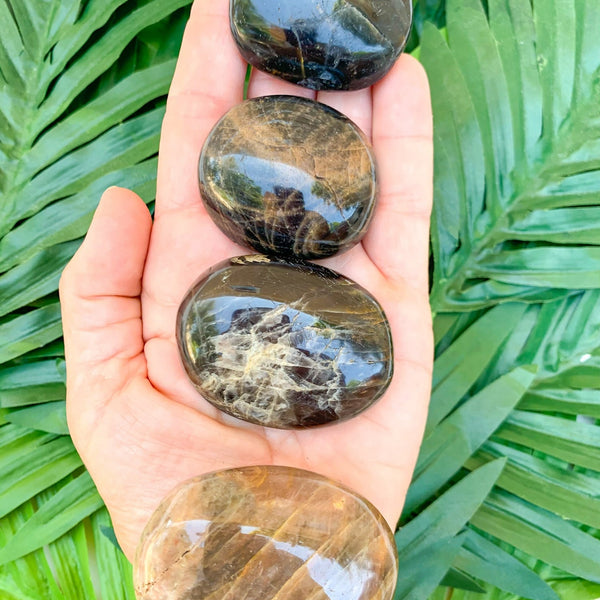 Black Moonstone Palm Stone - 1 Stone